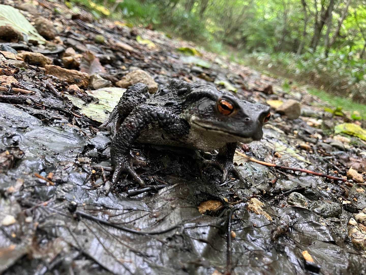 会えた🐸😘