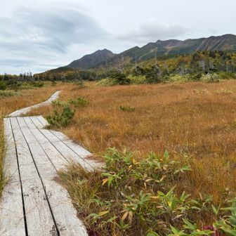 二ノ沼付近からの愛別岳