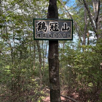 案外長い道のりだった