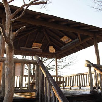             お多福さん今日も来ましたよ〜🐸♡
