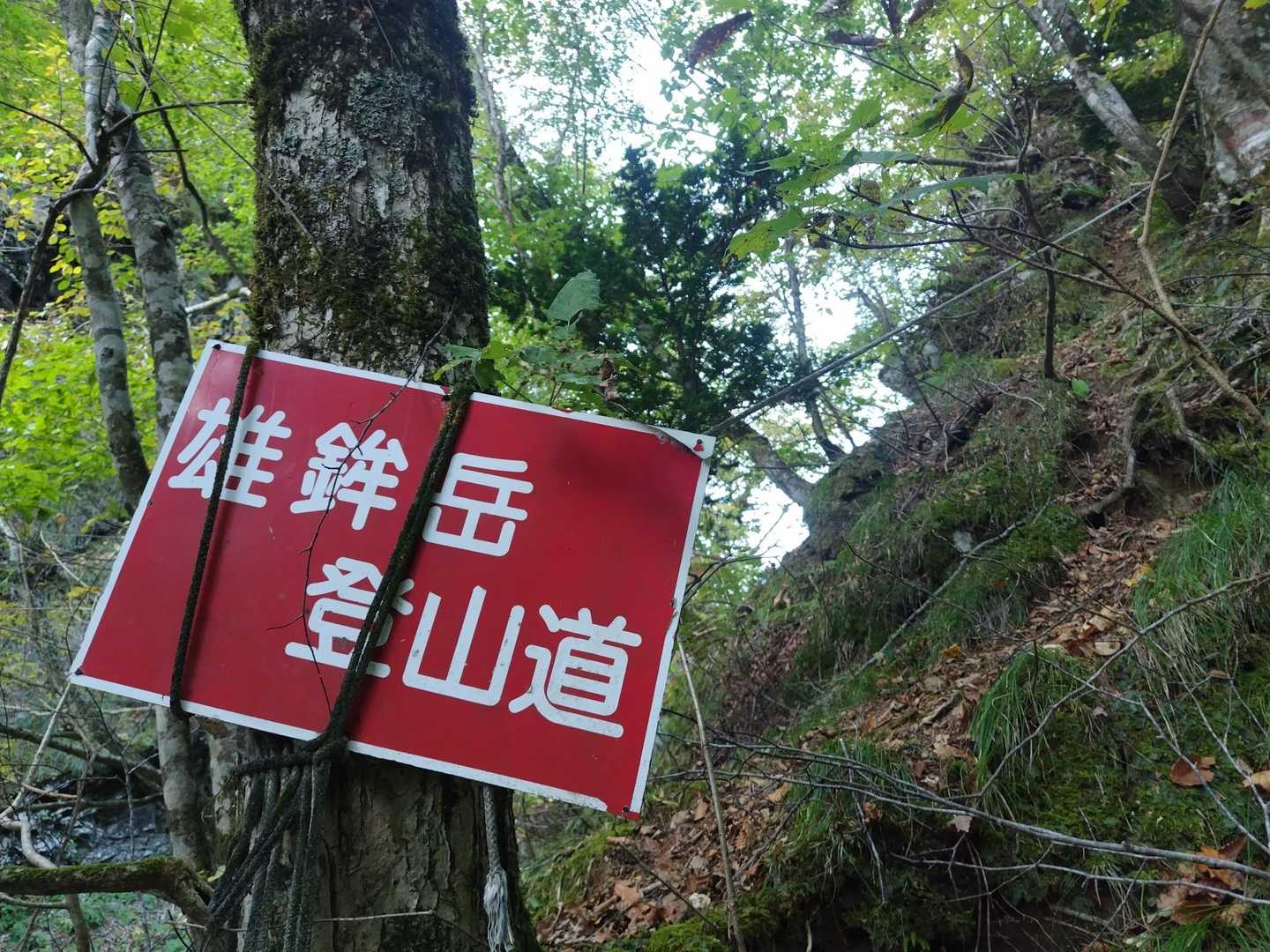 この結びつけられた標識…4年前も見たな😌