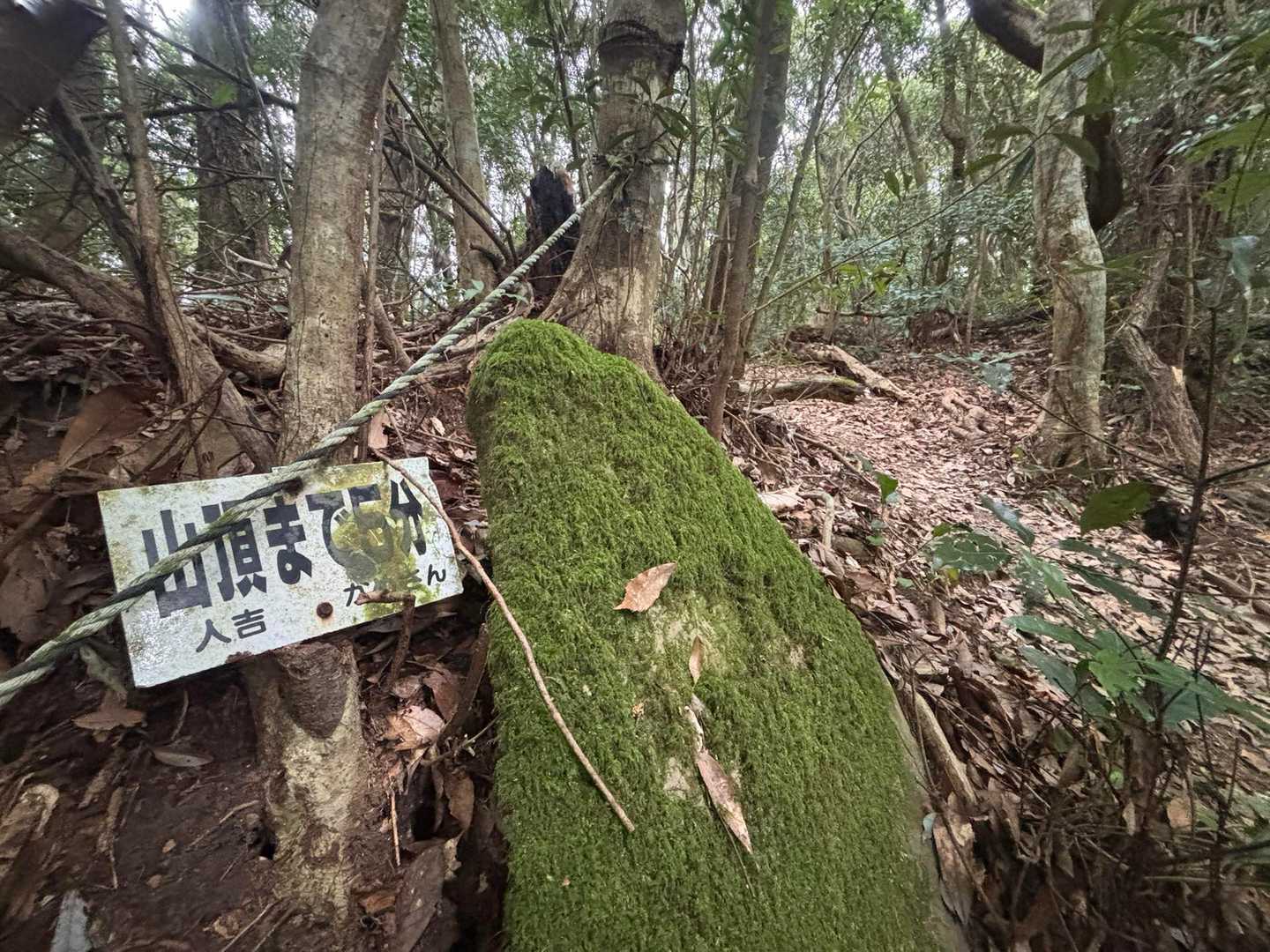山頂まで5分🐢
計ってみよう⏰