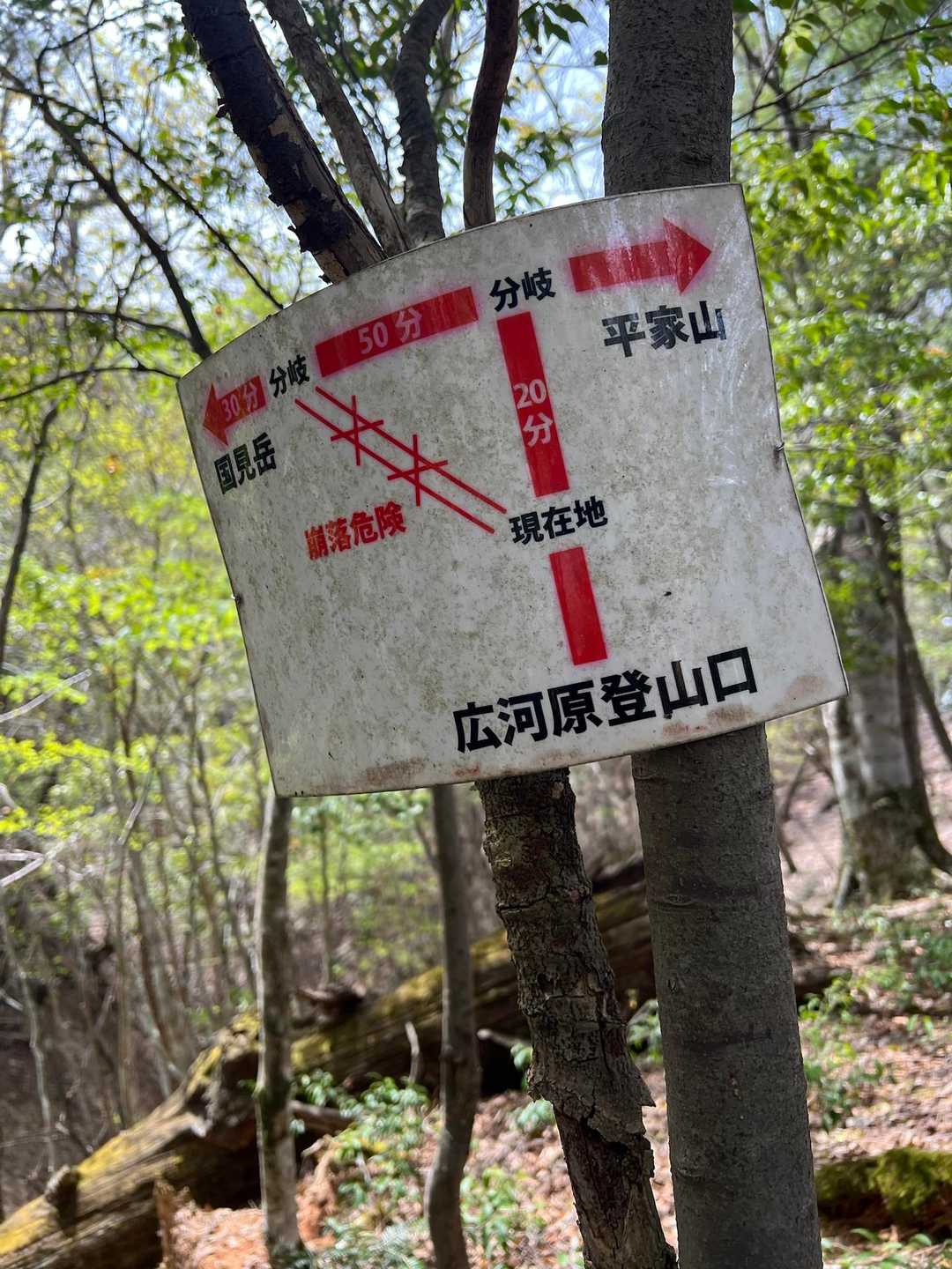 旧ルートはどんな景色だったんだろうか