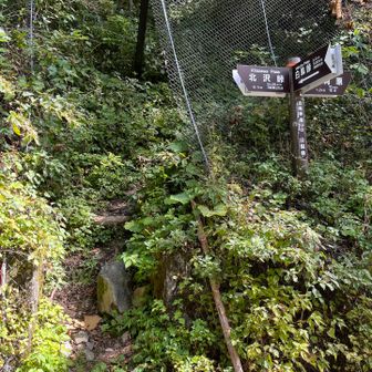 白鳳峠への入り口。急登自信ニキはぜひ。
