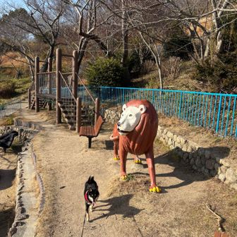 今日もありがとね！帰るわな🦁