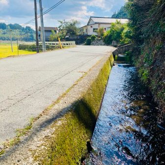 水路がトトロの世界感。
