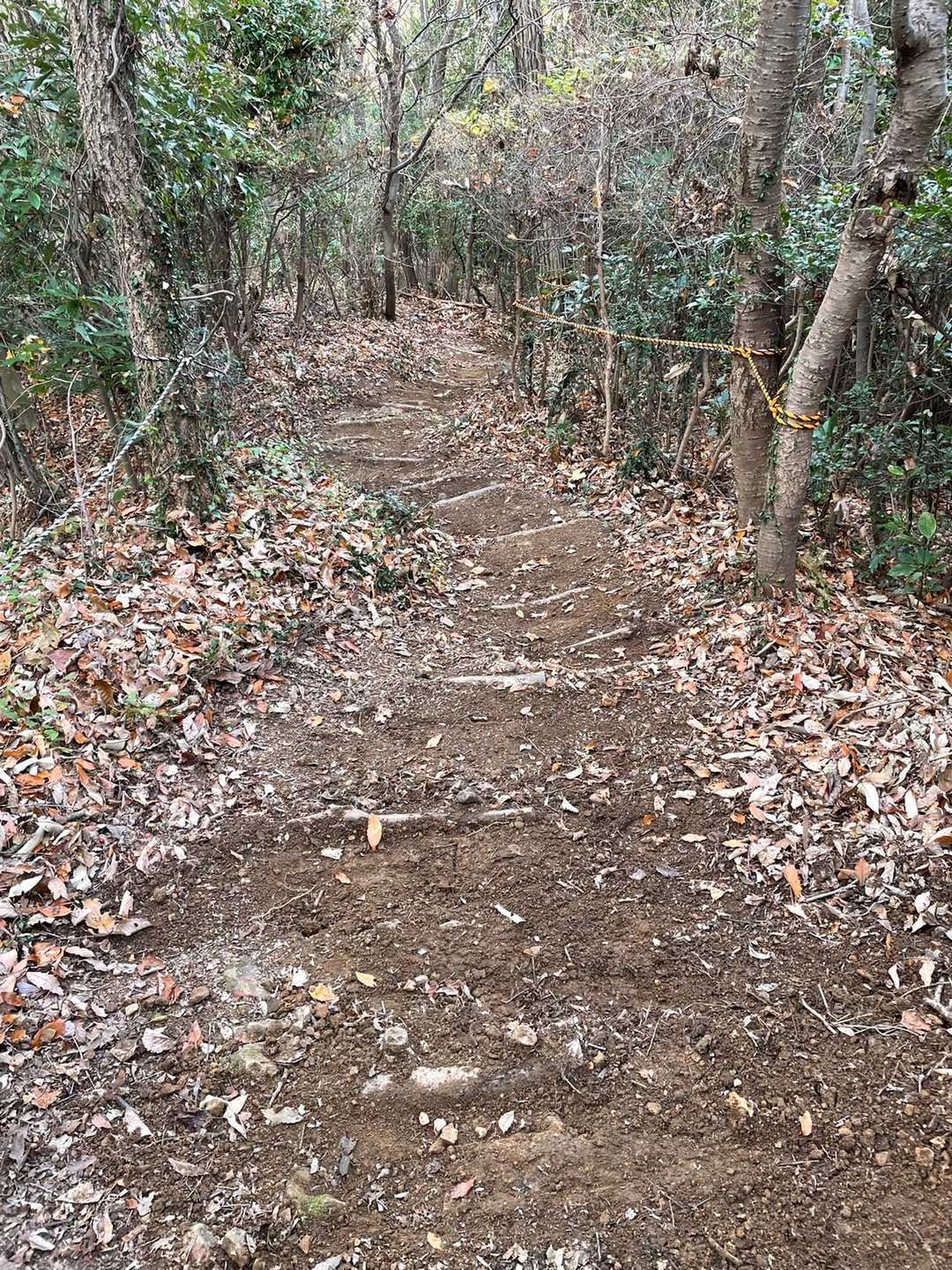 落葉もキレイに掃除されてトラロープも新しくされてました。