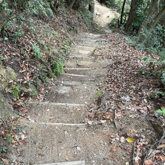 整備されたコースです😊

