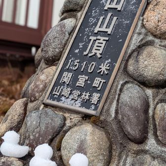 ヒヨコショット