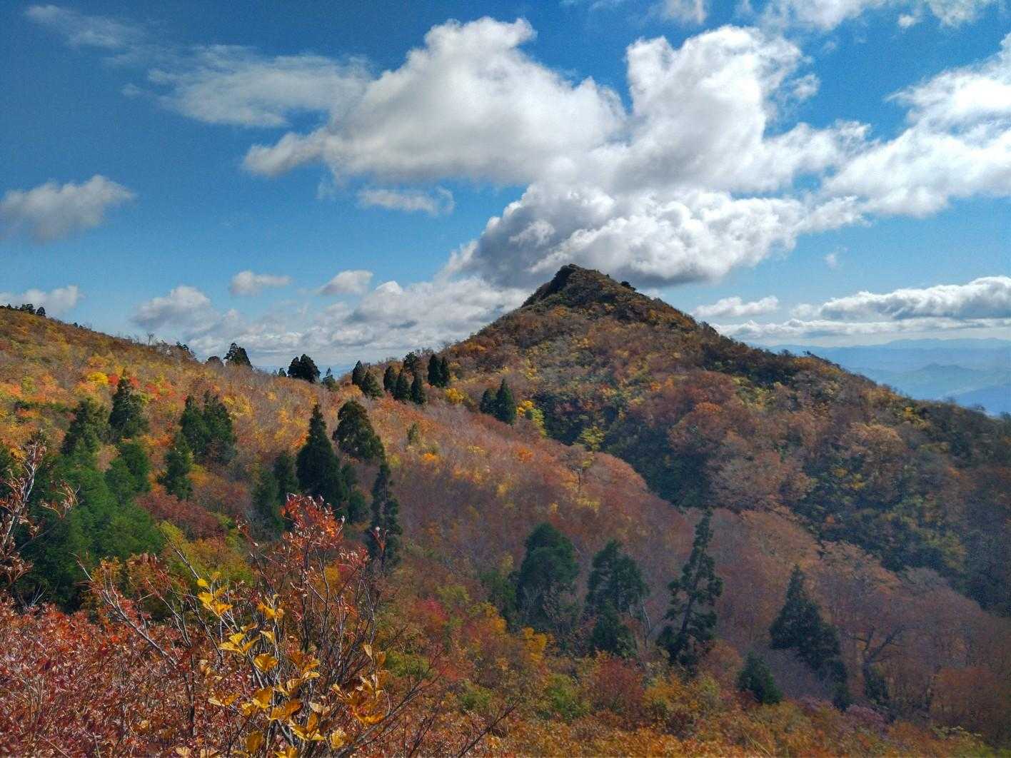 あれが御神楽岳かな。