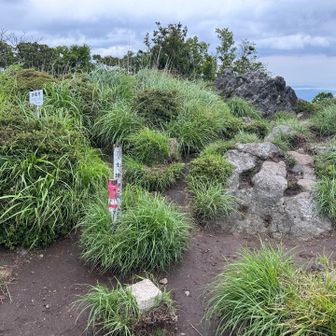 山頂は爆風🌪️