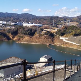 高所恐怖症の自分には十分スリリングです