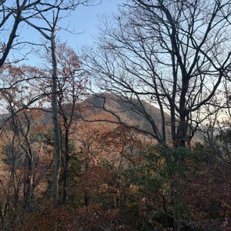 しかしようやくゴールが見えて来たようです。あれが2つ目の栃木百名山の諏訪山っぽい。