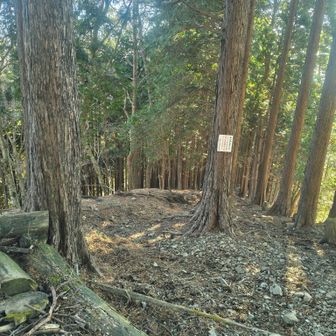 二股までいつか繫げよう