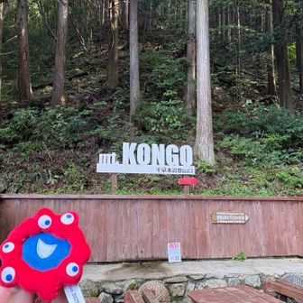 千早本道から登ります⛰️
今日はミャクミャクのぬいぐるみがメインです⭐️