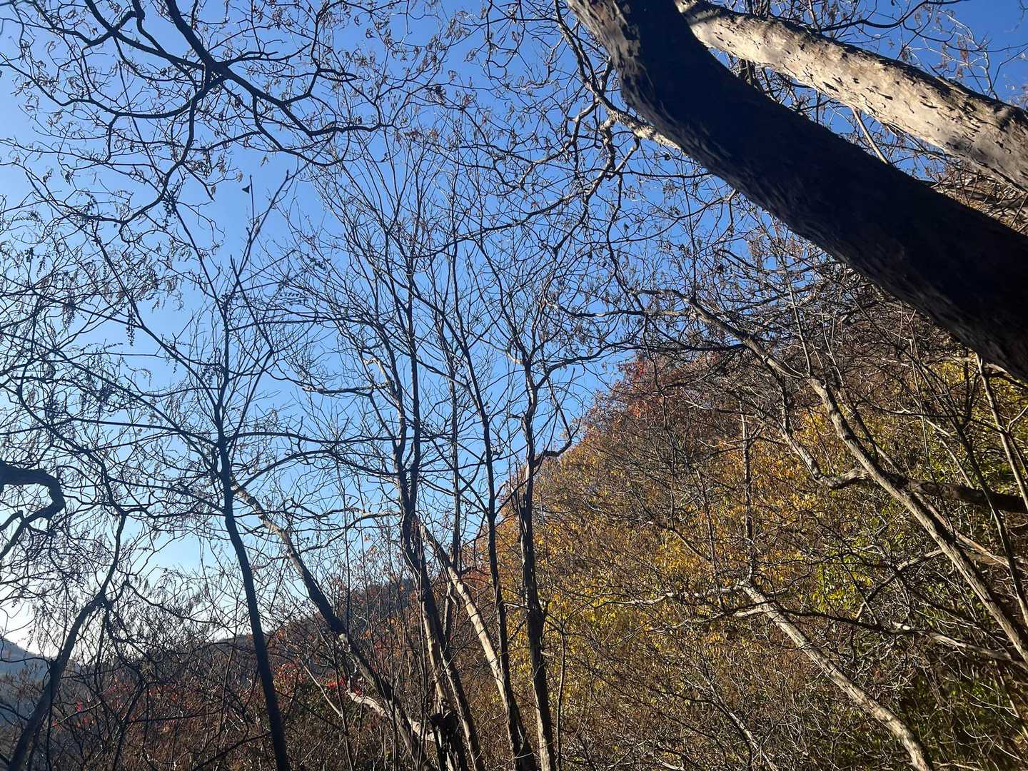 青空🟦🆗
お天気良し👌