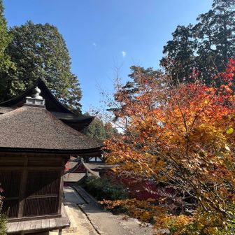 この時まで神妙な面持ちで手を合わせていたというのに。さて登山を！と思って色々歩き回って探しましたが、あれれ？登山道へ抜けられない💦