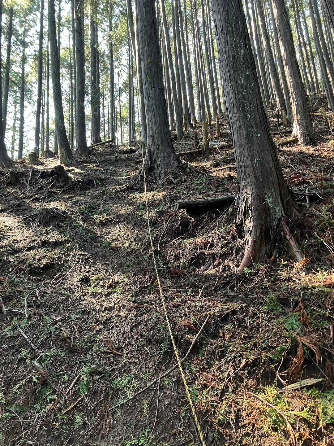 人の往来が少ないのか道は踏み固められておらず、また雨により水分を吸ってるせいか、足の抑えが効きません。
虎ロープのお世話になりました。
ありがとう、虎ローブ
