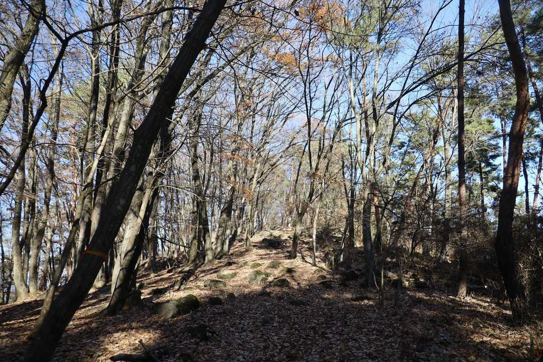 少しずつ標高を上げていく