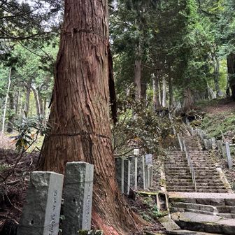 最後の最後に神社の階段を下ります。疲労で足がもつれそうになるので要注意です。