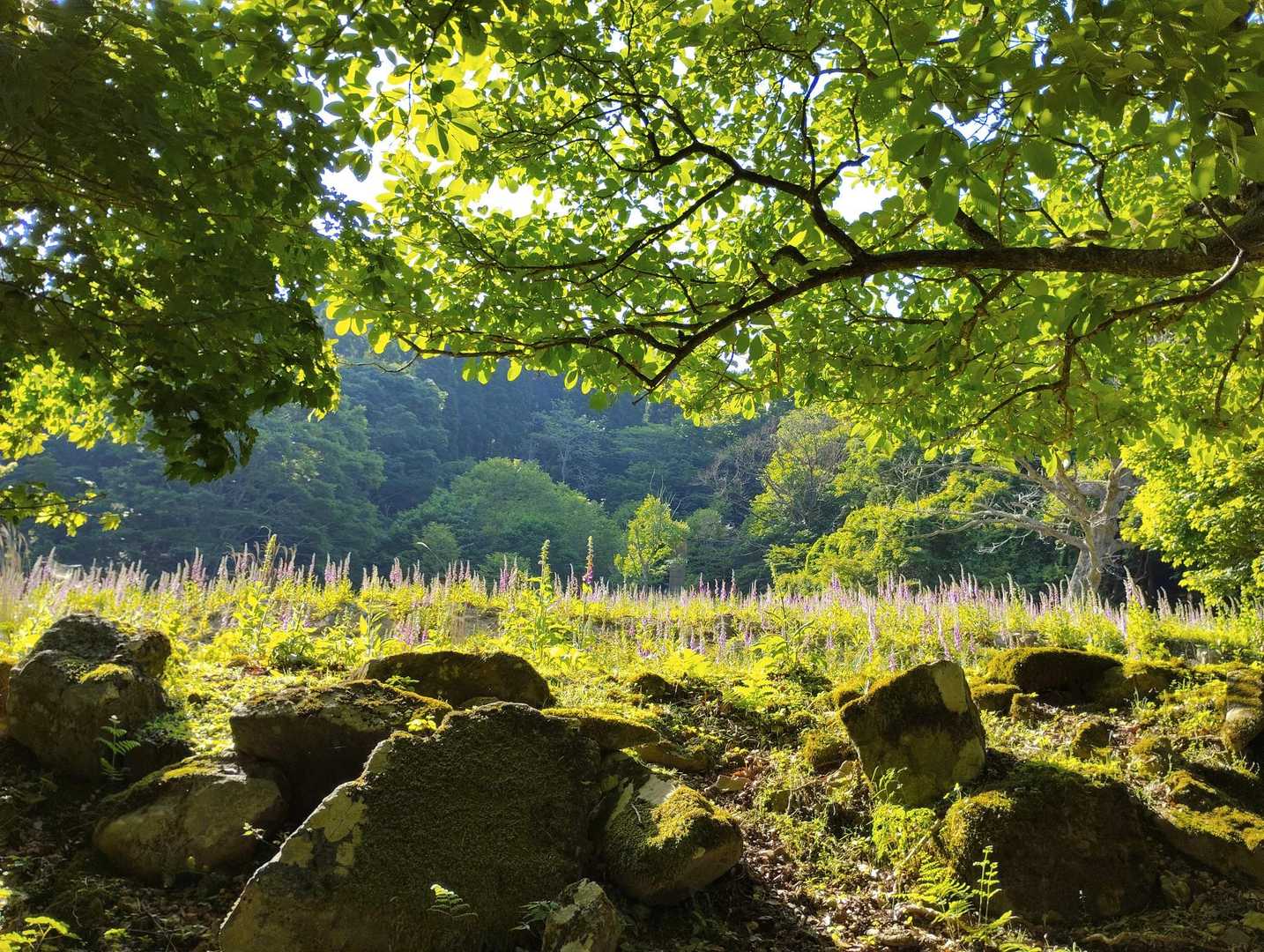 黒尾山 周回コースの写真