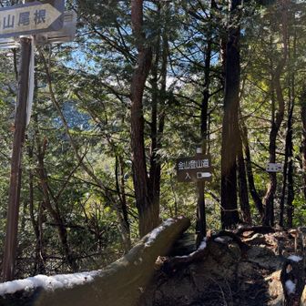 金山尾根分岐