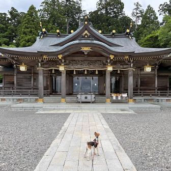 秋葉山本宮秋葉神社 上社　着いた〜　秋葉山に 登ったどうー
