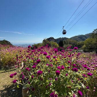 布引ハーブ園