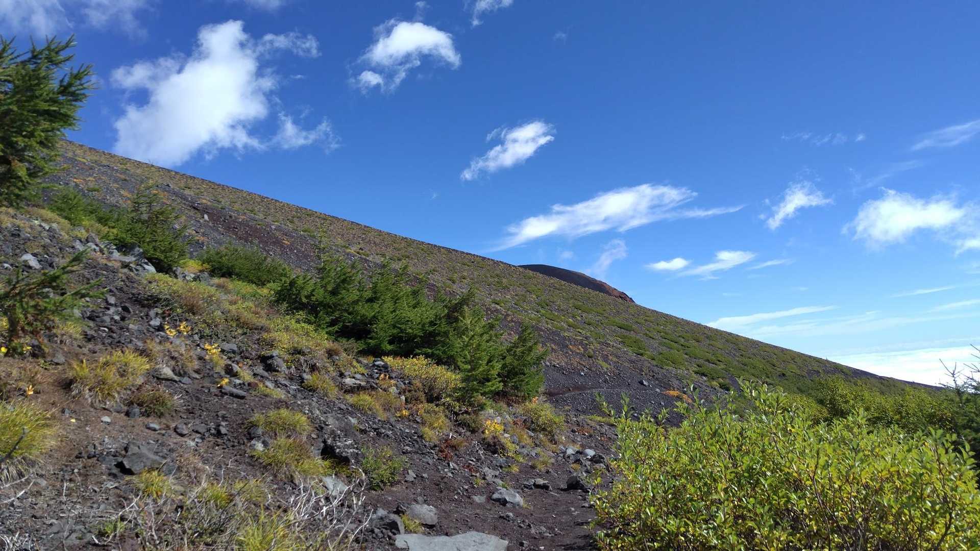 宝永山がちょこんと見えました