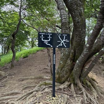 二又に道が別れます。
ピークわ取るために左へ