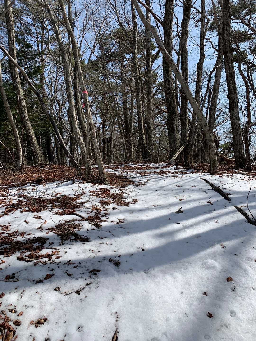 トリノ山っていうイタリアンな名前の山へのアプローチは残雪あり