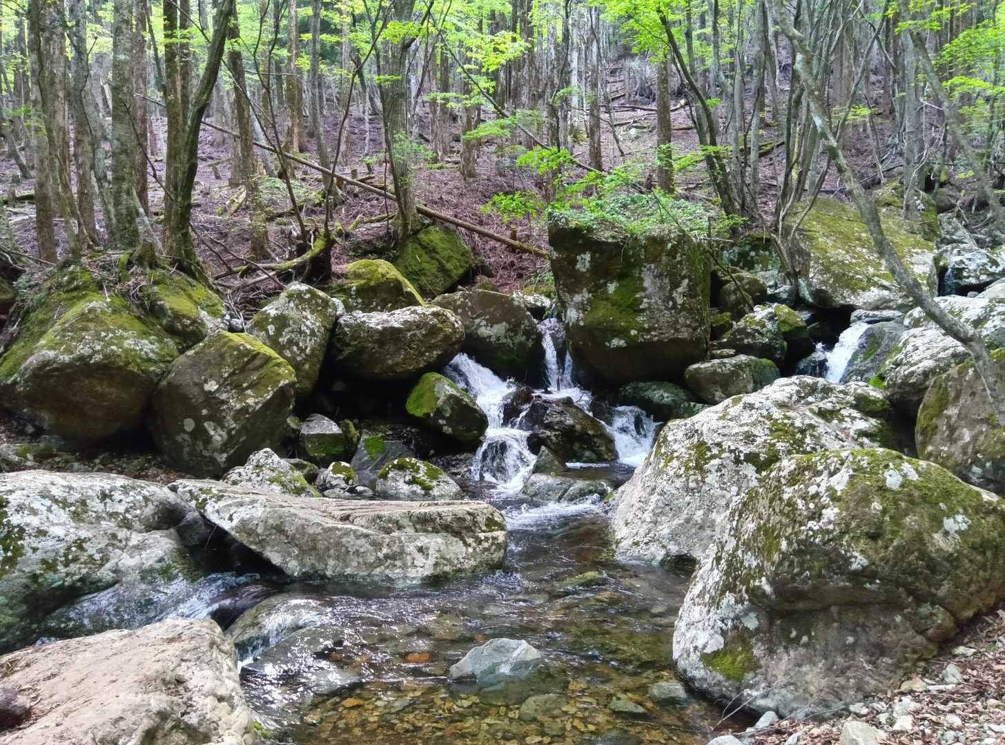 北谷登山口-風穴-祖母山 往復コースの写真