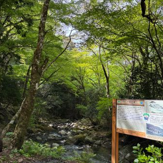 美しい新緑と蛇骨川。