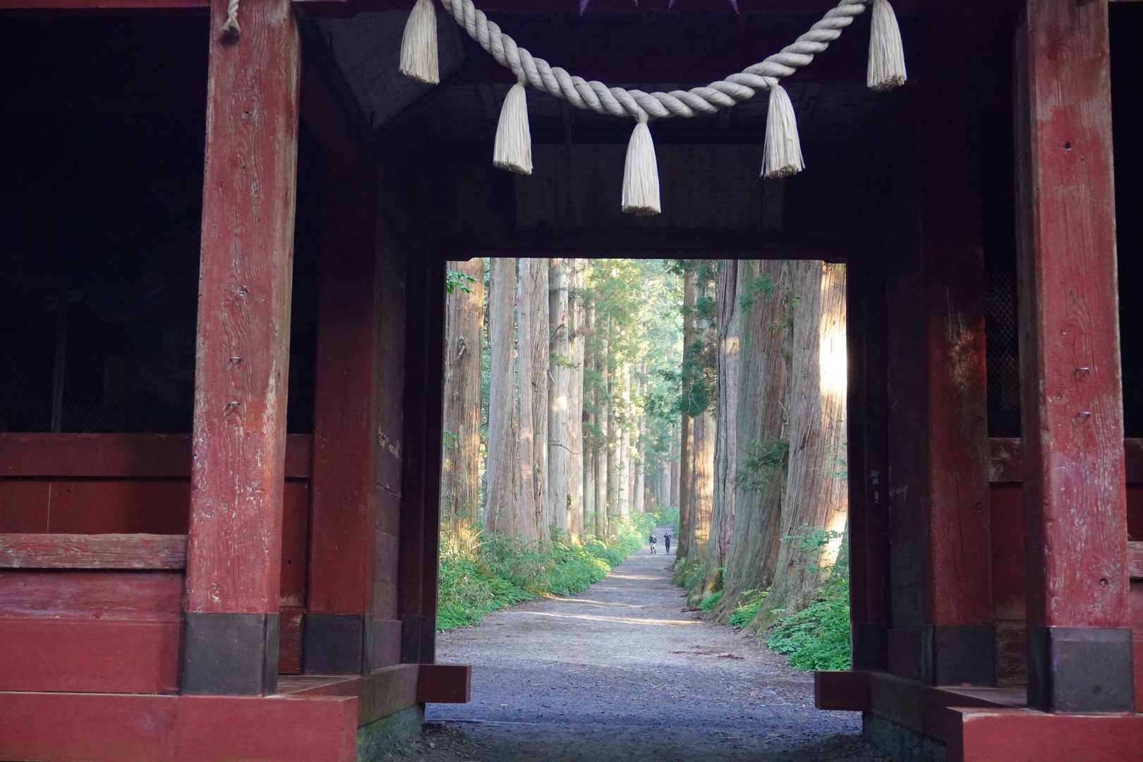 随神門より、杉並木