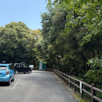 🚗、あっち〜🥵