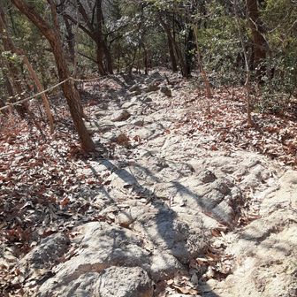 大昔からの道なんでしょうね