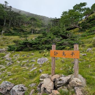 旧制静岡高校(今の静岡大学)の皆さんが野営した場所なのでこの名前。従って読み方は「しずこうだいら」