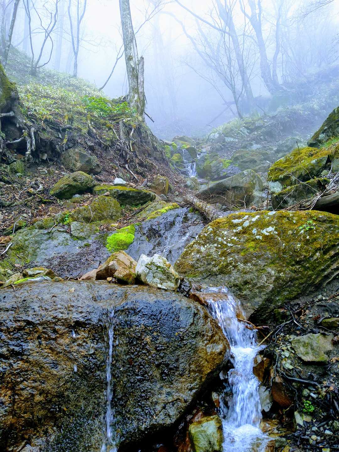 きれいな沢水💦