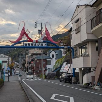 由比駅近くまで降りてきました
うわぁ、見たかったんだよね
この桜エビ🦐