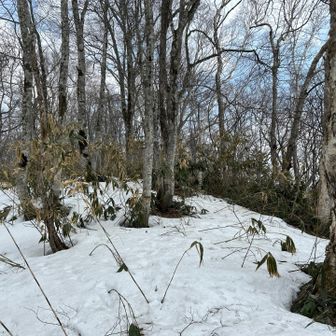 怪無山頂あたり