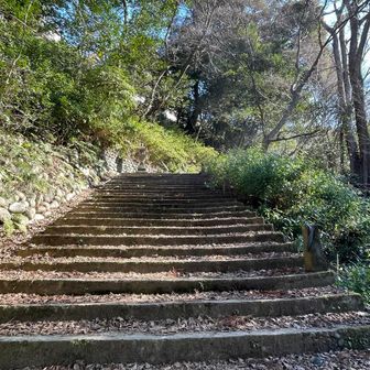 階段が続きます