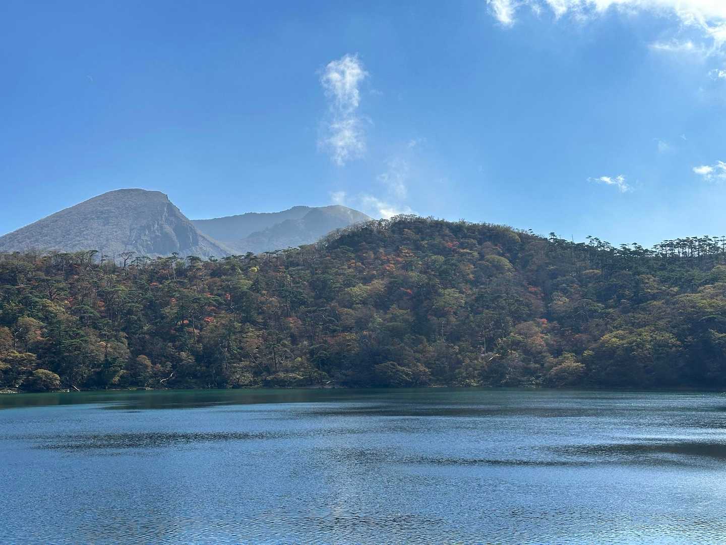地元の人が今年はまだなのか！まだ早すぎなのか！分からん！だって