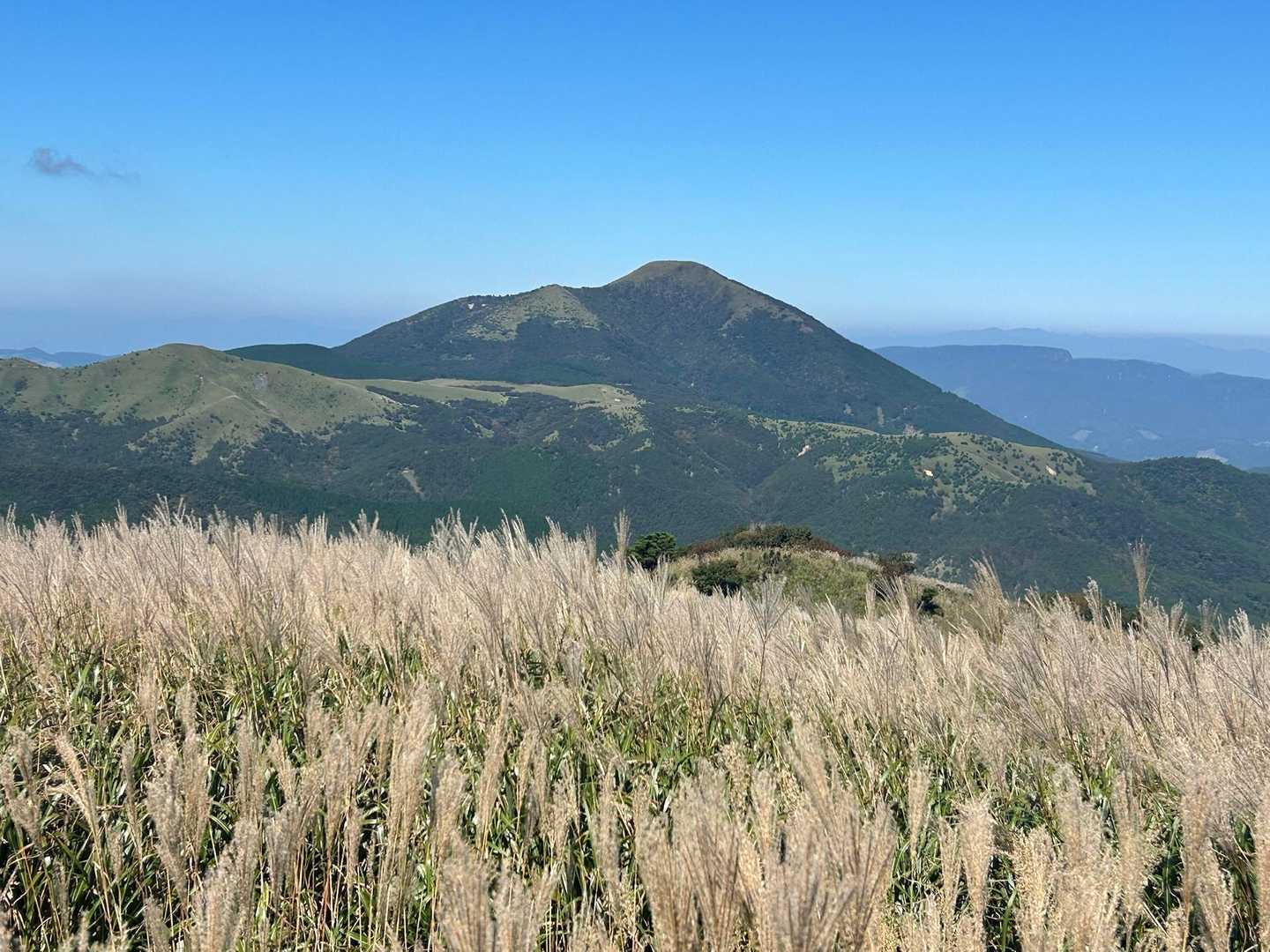 涌蓋山
盛り上げ部隊が
美しい( ´艸｀)ｽｽｷ