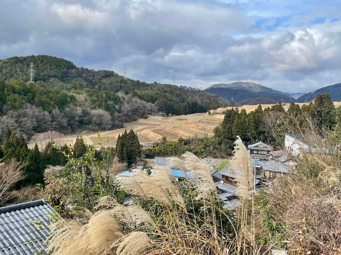 棚田