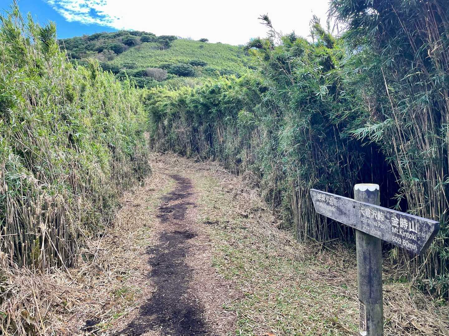 右も道がある　旧登山道？