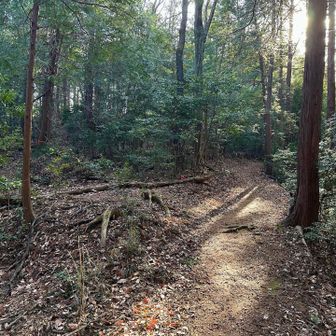 左の踏み跡を辿ると水道山山頂