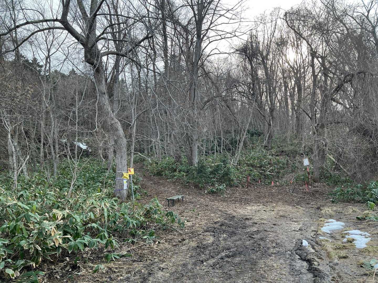 サクッと降りて登山口へ。