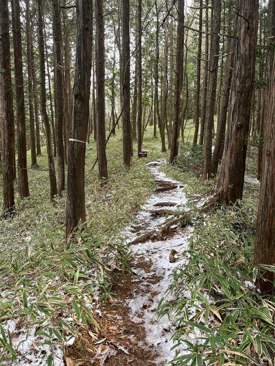 飯道神社-飯道山 往復コースの写真