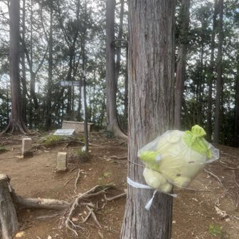 岩木戸山到着
