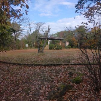 東屋の辺りが善光寺山山頂‥👍